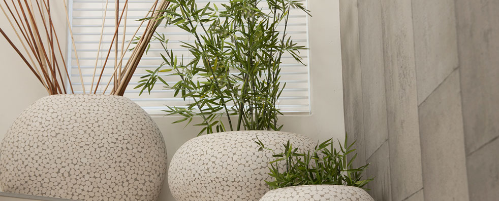 white linen and shutters with natural colours